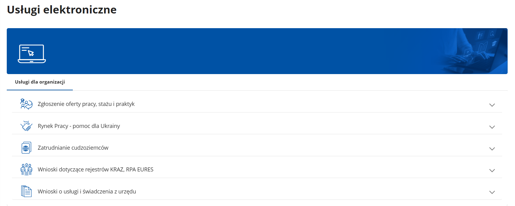 uslugi organizacja16